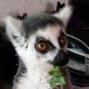 Meet your Posher, Saundra